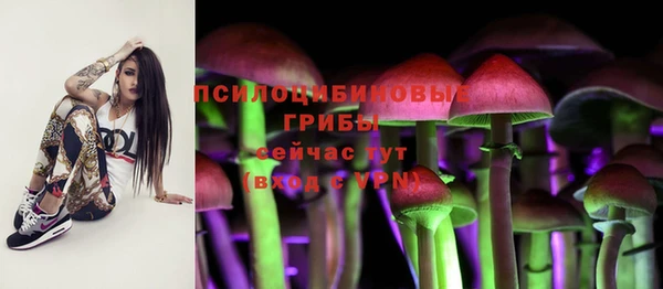 винт Богданович